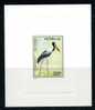 OISEAU MENACE / ECHASSIER / JABIRU  / EPREUVE  SENEGAL / EPHIPPIARHYCHUS - Storks & Long-legged Wading Birds