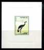 OISEAU MENACE / ECHASSIER / COURLIS CENDRE  / EPREUVE  SENEGAL / NUMENIUS ARQUATA - Storks & Long-legged Wading Birds