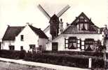 WENDUINE WENDUYNE CARTE DE PHOTO FOTO KAART KERK DE MOLEN LE MOULIN - Wenduine