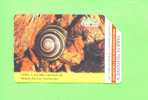 CUBA - Urmet Phonecard/Mollusc/Snail - Kuba