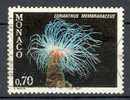 Monaco 1980 Mi. 1457  0.70 (Fr) Fauna Des Mittelmeeres Fauna Of The Mediterranean Zylinder-rose - Used Stamps