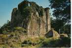 POUZAUGES (85) - Château De Gilles De Retz - Pouzauges