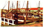 MARKEN PAYS BAS HOLLAND HOLLANDE . BATEAUX AU PORT. - Marken