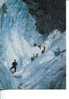 (224) - Sport D´Hivers - / Winter Sport - Franz Josef Glacier - Mountaineering, Alpinism