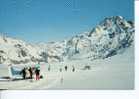 (224) - Sport D´Hivers - / Winter Sport - Tasman Glacier + Plane - Alpinisme