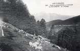 65 ROUTE DE BAGNERES A LUCHON - Le Col D'Aspin - Un Pâturage - Bagneres De Bigorre