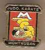 Pin´s JUDO KARATE MONTAUBAN ( 82 Tarn Et Garonne ). - Judo