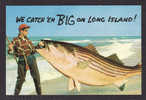 LONG ISLAND - FISHERMAN´S PARADISE - WE CATCH´EM BIG ON LONG ISLAND - FISH - Poissons Et Crustacés