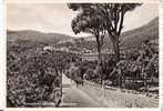 MARCOGLIANO ( AVELLINO ) PANORAMA - Avellino