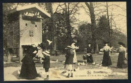 Bruxelles *Le Colombier De L'île Du Bois De La Cambre*  Ed. Nels.  Nueva. - Bosques, Parques, Jardines