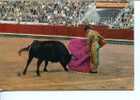 (180) Taureaux De Corrida - Bull