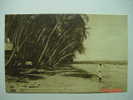 5286 TRINIDAD WEST INDIES  COCO NUT PALMS MAYATO BEACH   YEARS  1920  OTHERS IN MY STORE - Trinidad