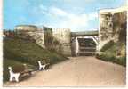 Calvados  :   CAEN  :  Le  Chateau  1968 - Caen