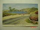 5293 BERMUDA  MILLHOUSE BAY HARRINGTON SOUND   YEARS  1950  OTHERS IN MY STORE - Bermudes