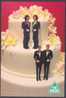 Gay & Lesbian/Same Sex Marriages - Doll Couples On Wedding Cake - Marriages