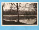 CPSM - Péronne - Le Cam - 1950 - 80 - Somme - Peronne