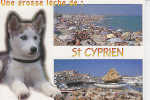 Saint Cyprien Plage - Saint Cyprien