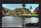 06 BELVEDERE Lac De St Grat, Ed Daniel 1002, CPSM 9x14, 1966 - Belvédère