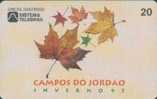 # BRASIL 970702 Campos Do Jordao 20  07.97  Tres Bon Etat - Brésil