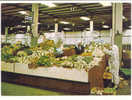 ASIA-211   BAHRAIN : MANAMA  - Local Vegetable Stand At The Central Market - Bahrein