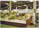 ASIA-211   BAHRAIN : MANAMA  - Local Vegetable Stand At The Central Market - Baharain
