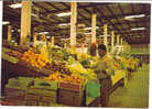 ASIA-213   BAHRAIN : MANAMA  - Fruit Stand At The New Central Market - Bahreïn