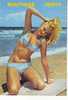 Pin-Ups - Femmes - Femme - RF15361 - Semi Moderne Grand Format -  Bon état - Pin-Ups