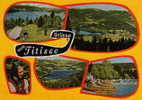 TITISEE  Multivues, Les Bateaux, Animation    CPSM  GRD Format       Dentellée Année 1960 - Titisee-Neustadt