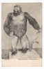 MONKEYS - Gorilla, Old Postcard - Monos