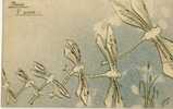 Libellules Messagères ... Bruine Et Dorure Signé Spina Voyagé En 1905 TBE - Insects