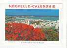 NOUMEA -  Le Centre Ville Au Mois De Décembre - Nouvelle Calédonie