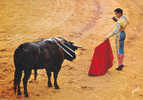 CORRIDA TAUROMACHIE  Cp Animée  24 085 02 Yvon - Corrida