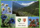 CPM 1980 Valais Suisse - Gruss Aus Saas-Grund - Blasons, Fleurs Des Alpes, Edelweiss, Gentiane, Azalée / Timbre 1980 - Saas-Grund