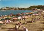 CPSM - 83 - CAVALAIRE - Vue Générale Sur La Plage, Le Cap Et La Vigie  - 472 - Cavalaire-sur-Mer