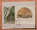 NEANDERTALERS ( Germany - Used Stamp On Paper ) - Neandertaler - Prehistory