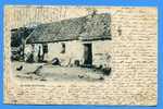 1901. An Irish Cottage. PPC  Destinated To Austrian Praga. IRLANDE . EIRE - Sonstige & Ohne Zuordnung