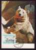 Polar Bear,Ours Polar Maxicard Carte Maximum 1981 Cancell FDC Hungary. - Ours