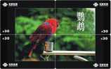B02133 China Parrot Puzzle 4pcs - Pappagalli