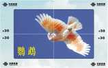 B02138 China Parrot Puzzle 4pcs - Parrots