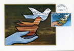 SPAGNA SPAIN MAXIMUM MAXIMA MAXI CARD A.N.I.C. 1976 PERFETTA  FDC - Maximum Kaarten