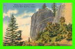 COLUMBIA RIVER HIGHWAY, OR - BISHOP CAP AT SHEPPERD´S DELL - CROSS & DIMMITT - - Other & Unclassified
