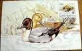 1989 YUGOSLAVIA MAXIMUM 4 CARD DUCK DUCKS PROTECTED ANIMALS WWF - Anatre