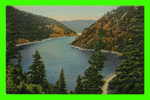 NEW MEXICO - EAGLE NEST LAKE AND DAM - SOUTHWEST POST CARD CO - - Sonstige & Ohne Zuordnung