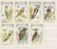 MONGOLIE Faune   Oiseaux Grimpeurs     1500 1506 ** - Spechten En Klimvogels