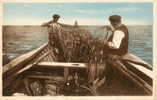 ILE D'OLERON (17) La Cotinière Peche Tamisage De La Sardine Gros Plan - Ile D'Oléron