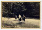 Ref 168 - BELGIQUE - BRUXELLES - Les Cavaliers Au Bois De La Cambre (carte Semi-moderne Grand Format) - Forêts, Parcs, Jardins