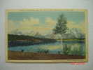 5206 UNITED STATES USA ESTADOS UNIDOS  WYOMING JACKSON LAKE      YEARS  1940  OTHERS IN MY STORE - Yellowstone