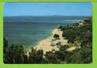 LA LONDE LES MAURES - PLAGE DE L'ARGENTIERE - Carte écrite - La Londe Les Maures