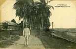 LIBREVILLE .   L'ALLEE DES COCOTIERS . - Gabon