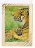 TIGRES  -  Hallmark   N°  180 CPF  716 5 - Tigri